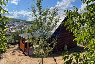 Cabana 50 mp, cartier Zorilor - 1