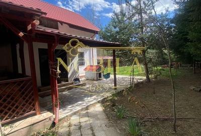 Casă cu 10 camere cu Teren 1332 Mp în Mănăstirea Cașin - 9
