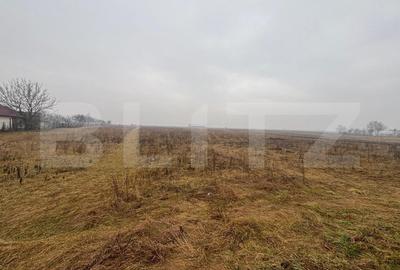 Teren Intravilan, 3000 mp, zona Chintelnic - 2