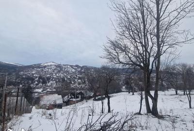 Casă cu 4 camere cu Teren 12000 Mp în Central - 5