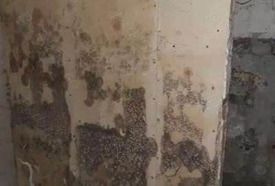 Apartament cu 3 camere decomandat în Zimnicea - 5