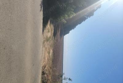 Teren de 250000 mp, în Comana - 9