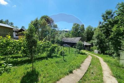 Casa de la marginea padurii! - 18