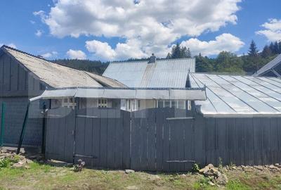 Casa si teren 1748mp, Sucevita - 3