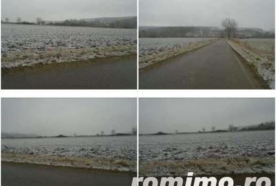 Teren Extravilan Corbita, ID: R1966425 - 3