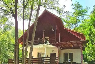 Inchiriez casa vila pe termen lung - 2