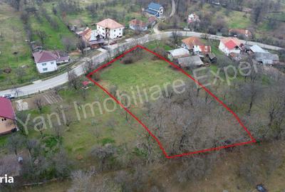 Teren de 2674 mp, în Cepari - 2