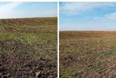 Teren extravilan Barlogu; ID: R2825534 - 6