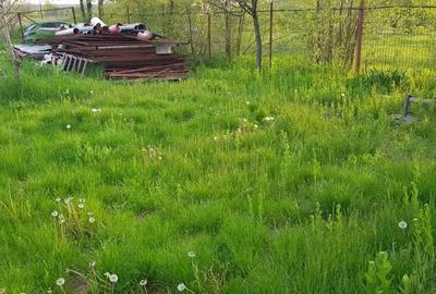 Casă cu 1 camere cu Teren 500 Mp în Măgurele - 6