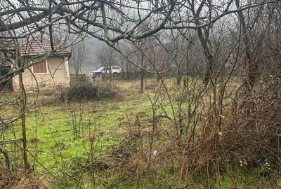 Teren de 4435 mp, în Exterior Vest - 1