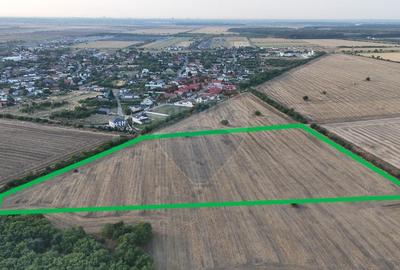 Teren Construcții intravilan de 40300 mp, în Tamași - 1