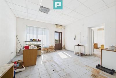 Cladire cu 5 camere cu teren ?i hala in Cenad - 9