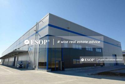WDP Industrial Park Oarja, spatii industriale, 3.000 - 13.525 mp - 5