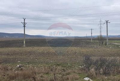 Teren de 41025 mp, în Periferie - 5