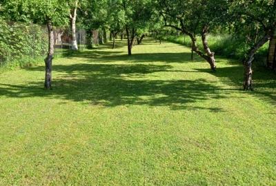 Casa 3 anexe Sacele ultracentral - 8