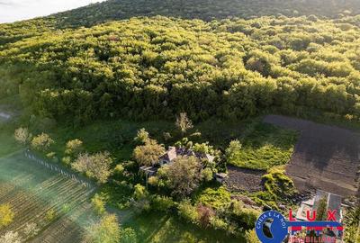 Teren de 2859 mp, în Visterna - 6