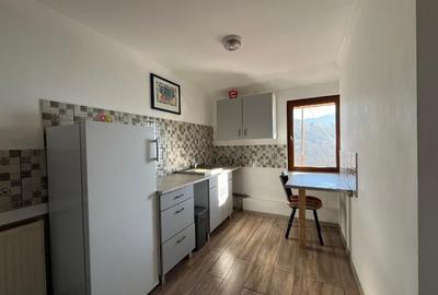 Garsonieră nedecomandată în Drumul Poienii - 4