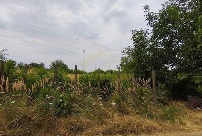 SFANTA AGNES-TEREN INTRAVILAN-559 MP SFANTA AGNES-TEREN INTRAVILAN-559 MP - 1