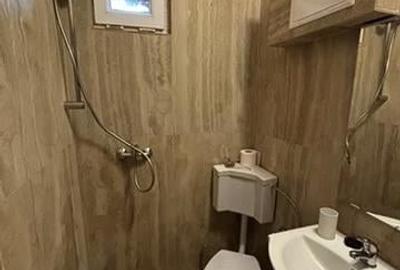 Garsonieră nedecomandată în Buziașului