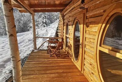 Casă cu 4 camere cu Teren 62000 Mp în Horea - 6