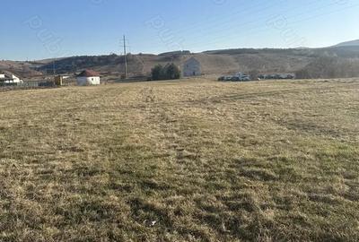 Teren de 1200 mp, în Sava - 2