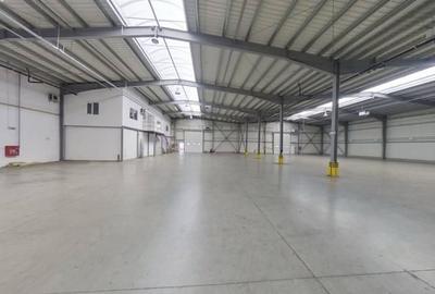 Hală industrială de închiriat în Arad 1799 mp - 1