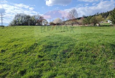 Teren Construcții intravilan de 2421 mp, în Periferie - 4