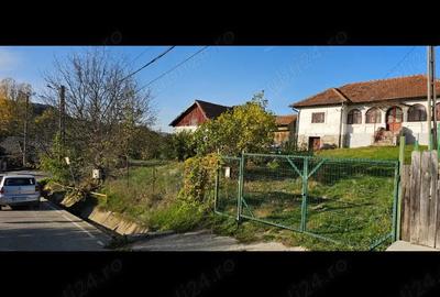 Vand Casa cu teren - 5