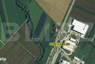 Teren de 3000 mp, în Galda de Jos - 1