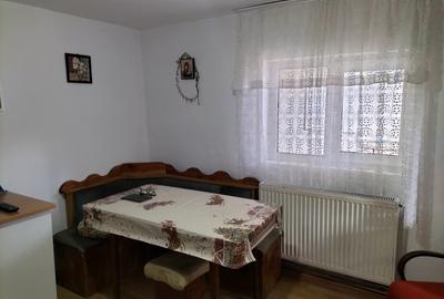 Vând / schimb casă P + 1 și 1000 mp teren în localitatea Stâlpeni. - 4