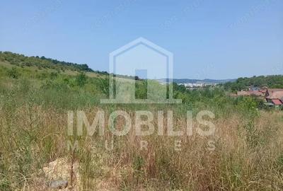 Teren de 8800 mp, în Depozite