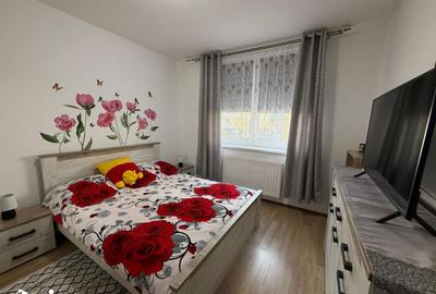 Apartament cu 3 camere în Cetate - 8