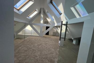 Penthouse in vila, de vanzare - Strada Tokio - 16