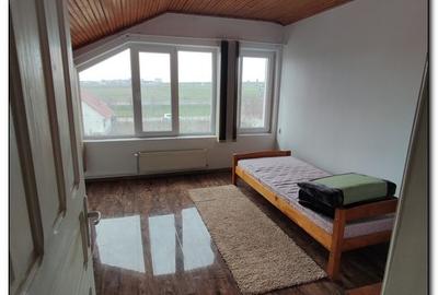 Vilă pe malul lacului Siutghiol, lângă parc - 8