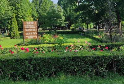 Apartament decomandat în Parcul Circului - 6