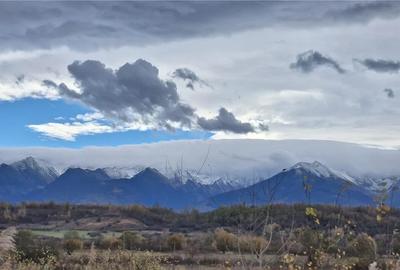 Ocazie!Oaza de liniste in satul Colun,cu 572mp ,la 40km de Sibiu Ocazie!Oaza de liniste in satul Colun,cu 572mp ,la 40km de Sibiu - 38