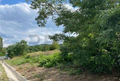 RECO Teren Extravilan Bratesti - 1