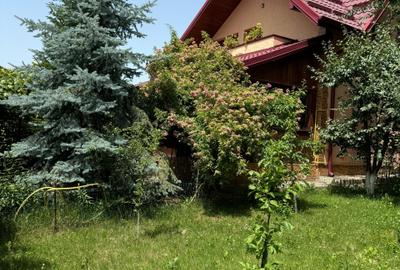 Casa cu etaj la Baisa spre padure - 3