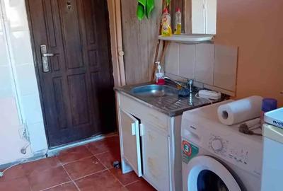 Vand camera camin Valea Ro?ie - 3