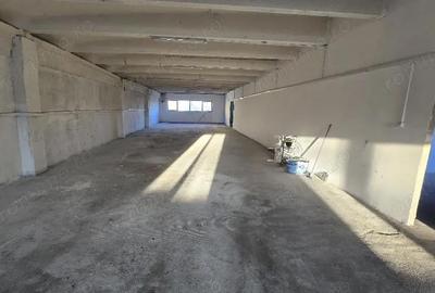 Spațiu comercial, de 950 mp, în Pictor Rosenthal - 2