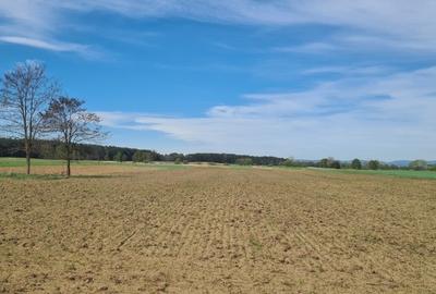 TEREN AGRICOL EXTRAVILAN - RECI - COVASNA - 3