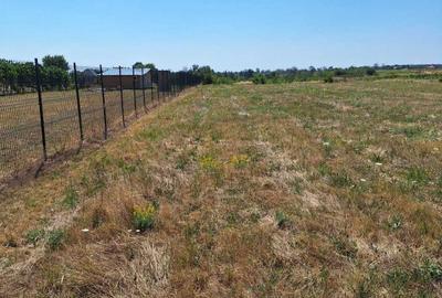 Teren de 2666 mp, în Pârvu Roșu - 2