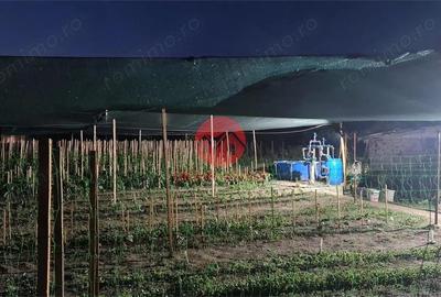 Casă cu Teren 1711 Mp în Topraisar - 6