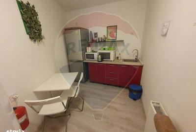 Apartament cu 6 camere în Centrul Istoric - 2