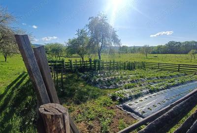 Descopera casu?a ta de vis la poalele Mun?ilor Apuseni - 14