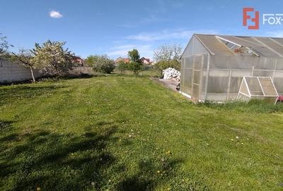 Casa individuala , Sacalaz - Curte 1730 mp Casa individuala , Sacalaz - Curte 1730 mp - 5