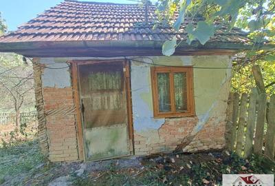 Vanzare casa in Zlatna - 7