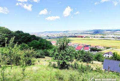 Teren intravilan constructie casa, Dezmir