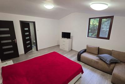 Casă cu 5 camere cu Teren 211 Mp în Eșelnița - 4