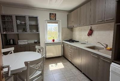 Apartament cu 4 camere decomandat, mobilat în Lipovei - 13